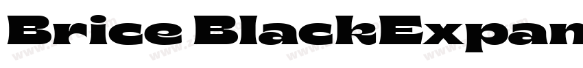 Brice BlackExpanded字体转换